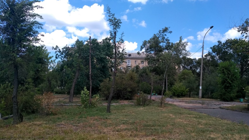 В Волгограде в Центральном районе погибает сквер им. 8 марта